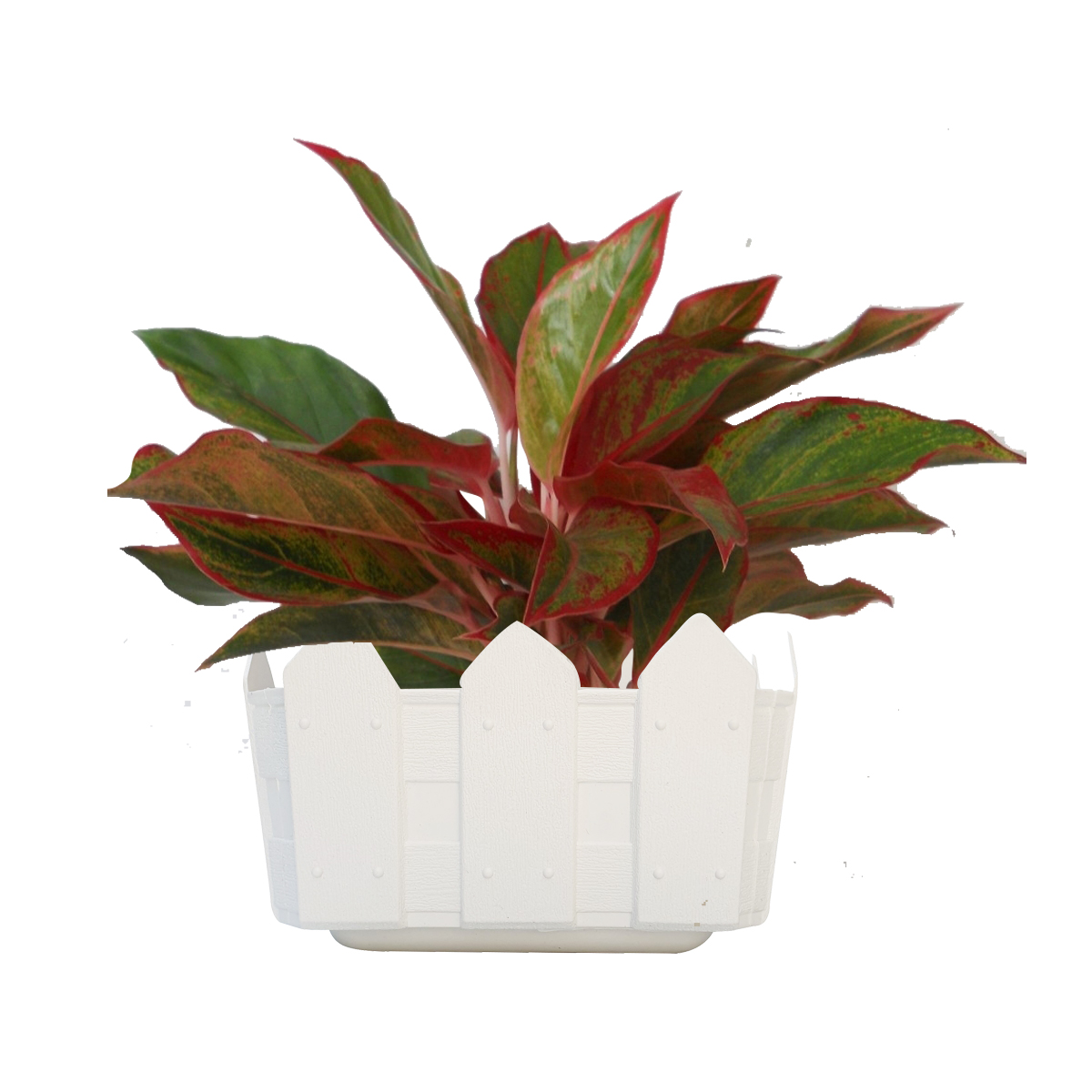 Gia Dụng Giá Xưởng - TP.HCM